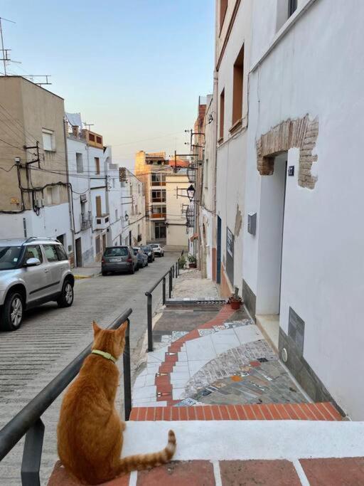 הוילה אלקנאר Townhouse - Casa Rustica Entre Mar Y Montana מראה חיצוני תמונה